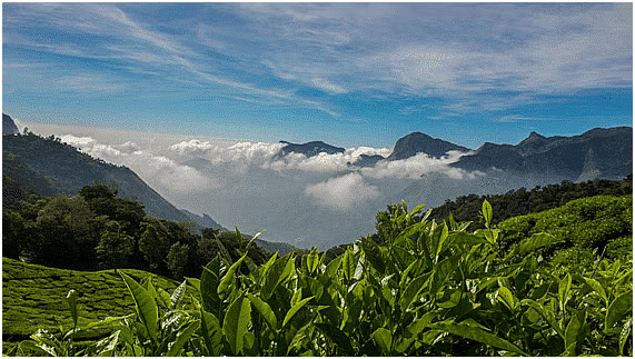 Environment and Ecology: February 2024 Current Affairs | Current Affairs & General Knowledge - CLAT