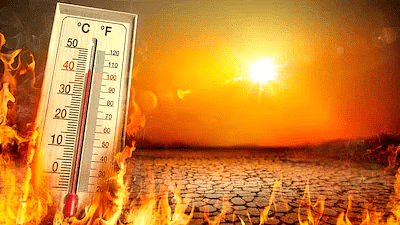 Environment and Ecology: September 2024 Current Affairs | General Test Preparation for CUET UG - CUET Commerce