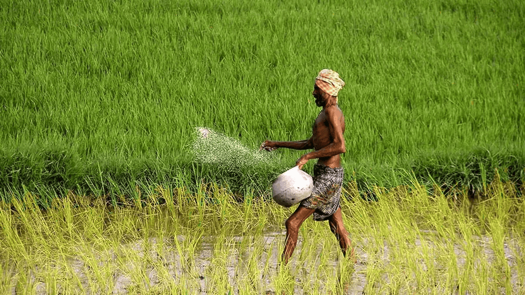 Environment and Ecology: October 2024 Current Affairs | General Test Preparation for CUET UG - CUET Commerce