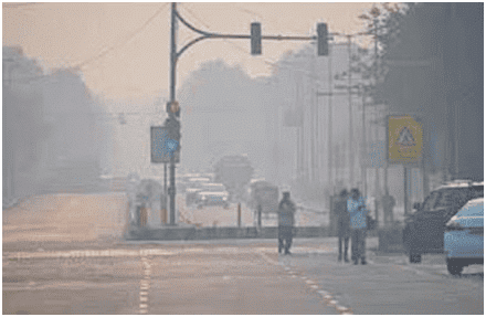 Environment and Ecology: August 2024 Current Affairs | General Test Preparation for CUET UG - CUET Commerce