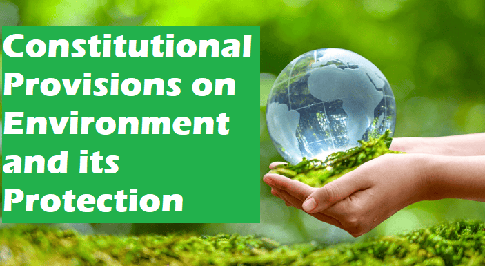 Constitution and Environment