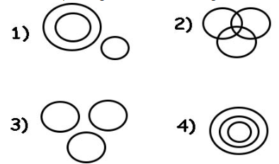 Practice Questions: Logical Venn Diagram | Logical Reasoning for CLAT