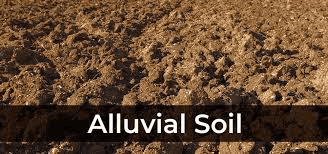 Classification of Indian soils | General Awareness - Bank Exams