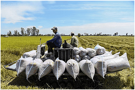 Environment and Ecology: April 2024 Current Affairs | Current Affairs & General Knowledge - CLAT