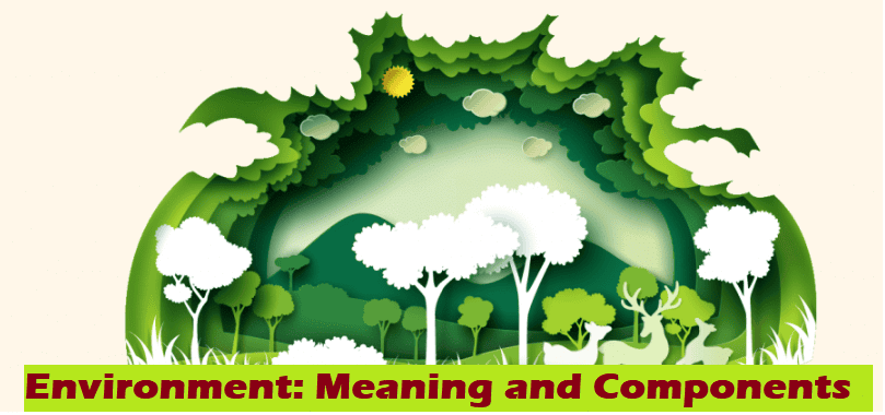 Enviornment: Meaning and Scope | Environmental Law - CLAT PG