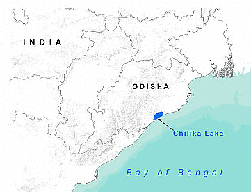 Geography: January 2024 Current Affairs | General Test Preparation for CUET UG - CUET Commerce