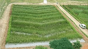 Environment and Ecology: May 2024 Current Affairs | General Test Preparation for CUET UG - CUET Commerce