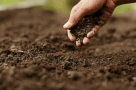Environment and Ecology: July 2024 Current Affairs | Current Affairs & General Knowledge - CLAT
