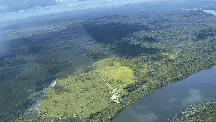 Environment and Ecology: September 2024 Current Affairs | General Test Preparation for CUET UG - CUET Commerce