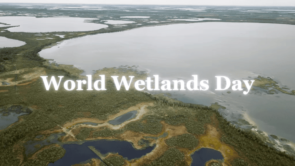 Environment and Ecology: February 2025 Current Affairs | General Test Preparation for CUET UG - CUET Commerce
