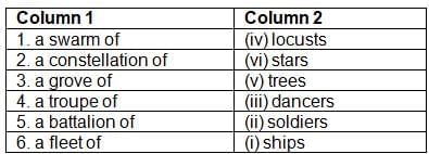 Magnifying Glass NCERT Solutions | English Poorvi Class 8 - New NCERT