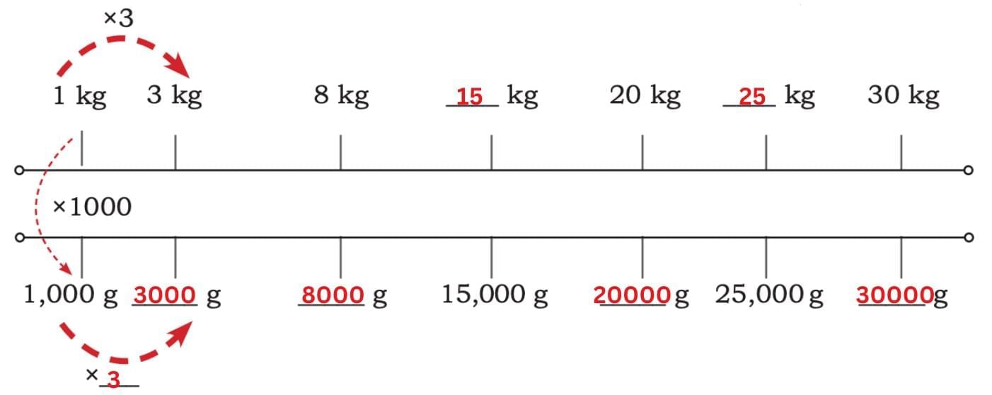 Weight and Capacity Chapter Notes | Mathematics (Maths Mela) Class 5 - New NCERT
