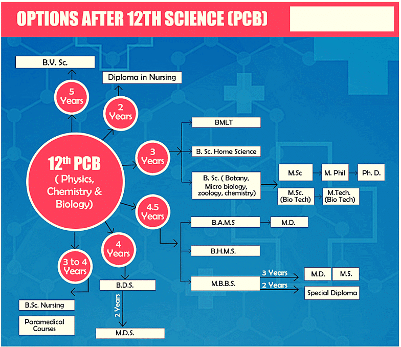 How to Prepare for Class 10 Science 2023