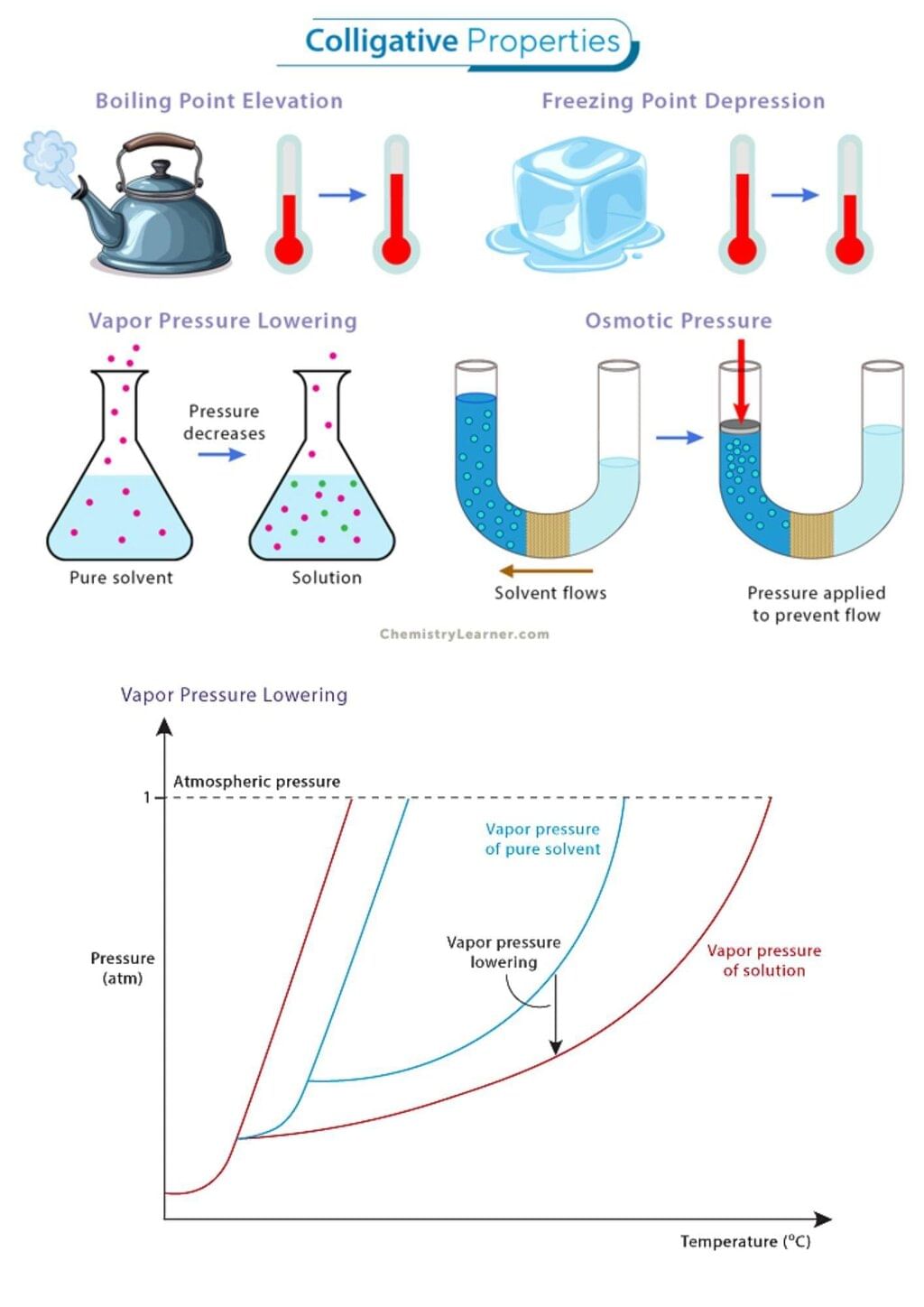 Infographic: Solutions | Chemistry Class 12 - NEET