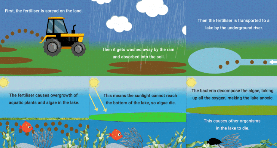 Mnemonics: Environmental Issues (Old NCERT) | Crash Course for NEET