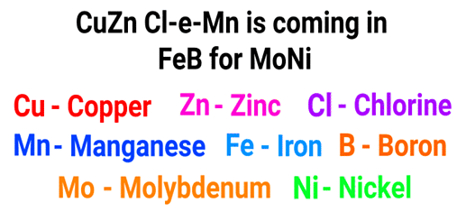 Mnemonics: Mineral Nutrition (Old NCERT) | Crash Course for NEET