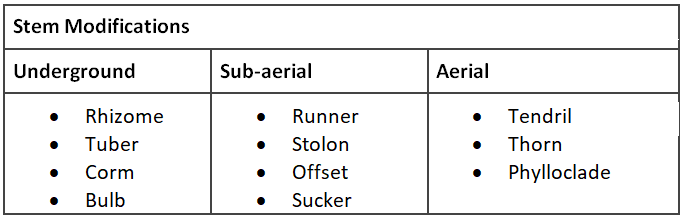 Mnemonics: Morphology of Flowering Plants | Biology Class 11 - NEET