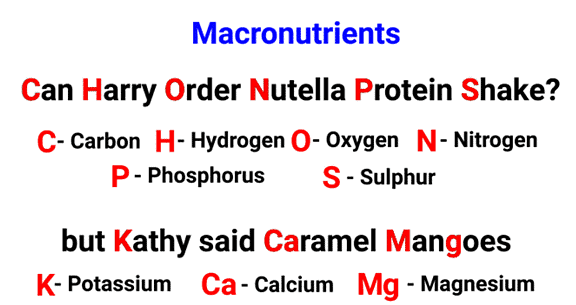Mnemonics: Mineral Nutrition (Old NCERT) | Crash Course for NEET