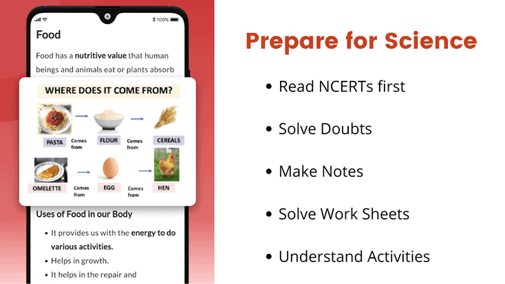How to study for Class 6th from EduRev | How To Study For Class 6