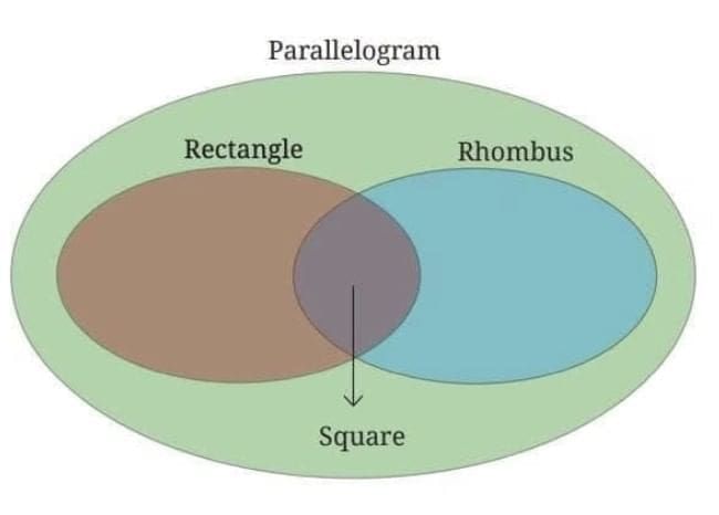 Important Formulas: Quadrilaterals | Mathematics Class 8- New NCERT (Ganita Prakash)