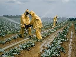 Agriculture - 1 Class 4 Worksheet SST