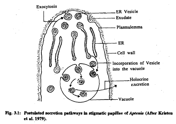 Pollination & Fertilization | Botany Optional for UPSC
