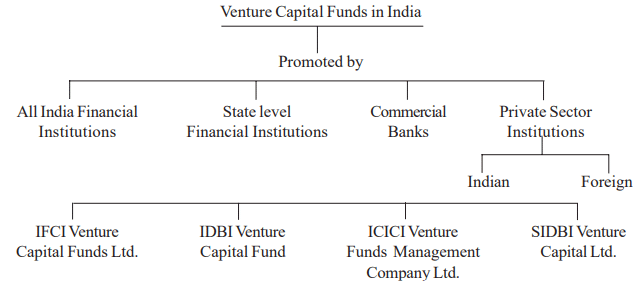 Leasing, Hire Purchase, and Venture Capital: Venture Capital | Management Optional Notes for UPSC
