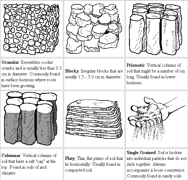 Properties of Soil: Physical, Chemical & Biological - 1 | Agriculture Optional for UPSC