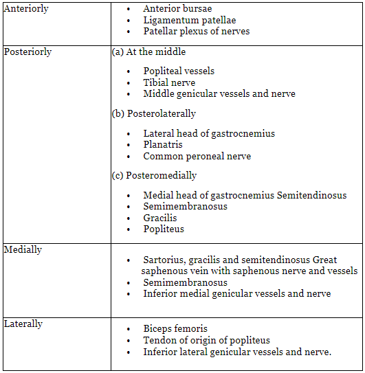 Knee Joint | Medical Science Optional Notes for UPSC