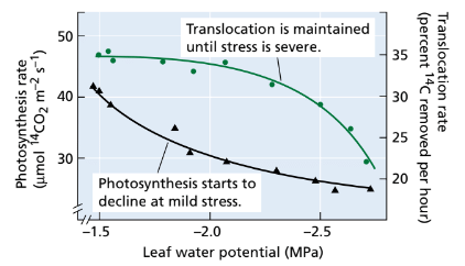 Stress Physiology | Botany Optional for UPSC