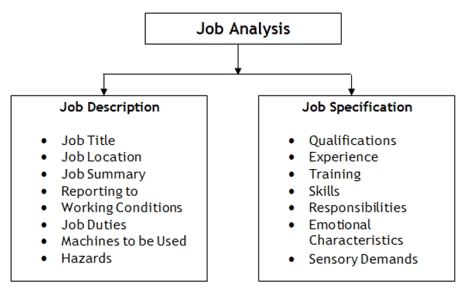 Job Description and Job Specification | Commerce & Accountancy Optional Notes for UPSC