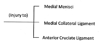 Knee Joint | Medical Science Optional Notes for UPSC