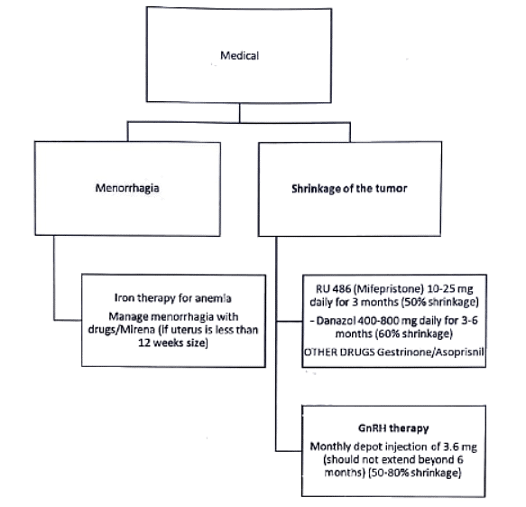 Uterine Fibroid | Medical Science Optional Notes for UPSC