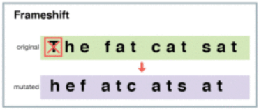 Mutations: The molecular basis of mutations | Botany Optional for UPSC