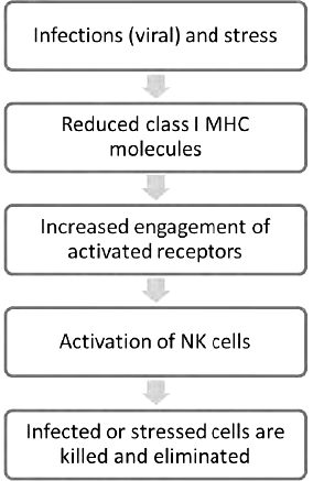 Hypersensitivity Reactions | Medical Science Optional Notes for UPSC