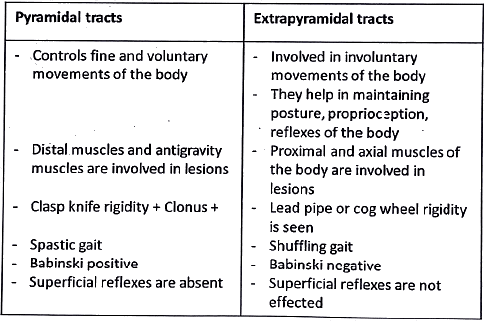 Descending Pathways: Neuroanatomy | Medical Science Optional Notes for UPSC