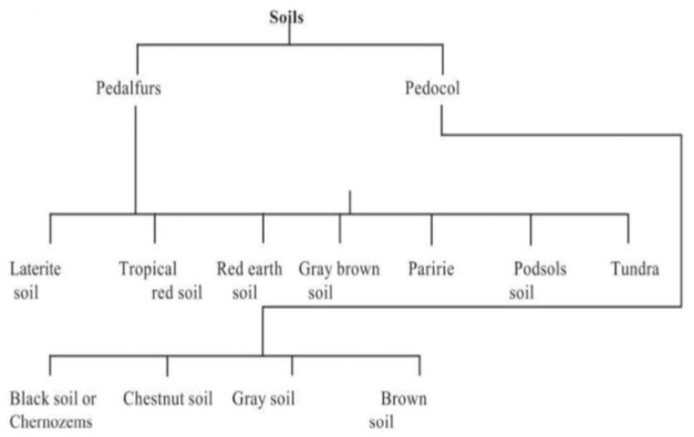 Classification and distribution of soils | Geography Optional for UPSC