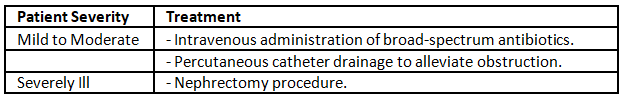 Acute pyelonephritis | Medical Science Optional Notes for UPSC