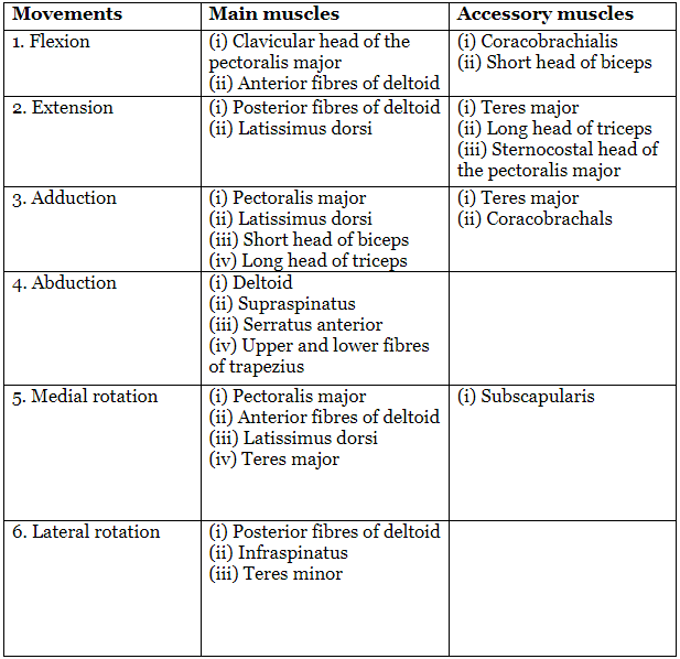 Shoulder Joint | Medical Science Optional Notes for UPSC