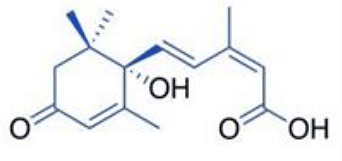 Plant Growth Regulators - 2 | Agriculture Optional for UPSC