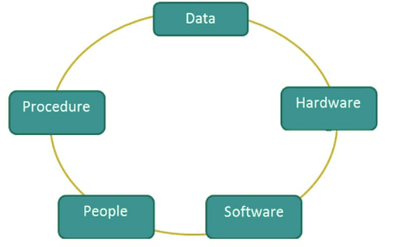 Conceptual foundations of information systems | Management Optional Notes for UPSC