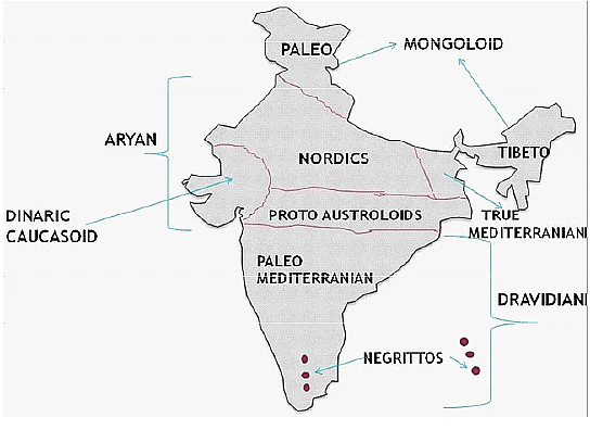 Ethnic Elements in Indian Population | Anthropology Optional for UPSC