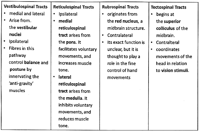Basal Ganglia | Medical Science Optional Notes for UPSC