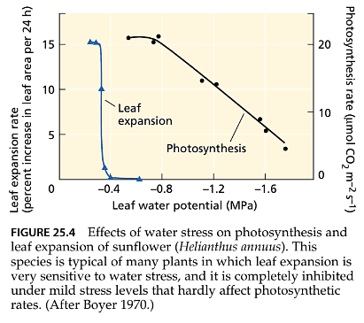 Stress Physiology | Botany Optional for UPSC