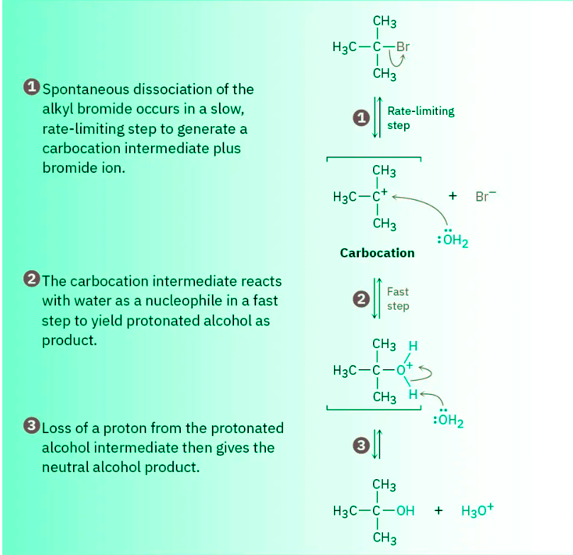 The SN1 Reaction & Characteristics of the SN1 Reaction | Chemistry Optional Notes for UPSC