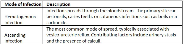 Acute pyelonephritis | Medical Science Optional Notes for UPSC