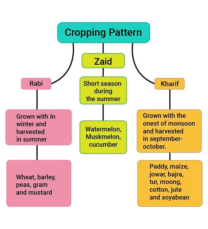 Cropping Pattern of India