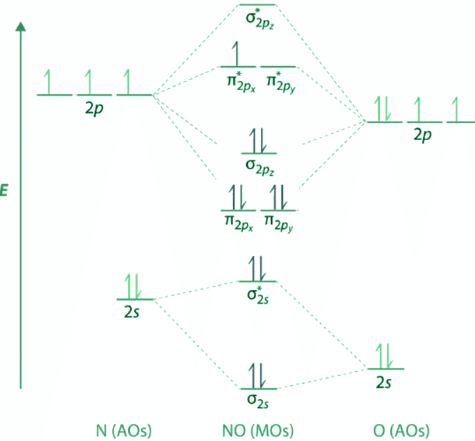 An Odd Number of Valence Electrons: NO