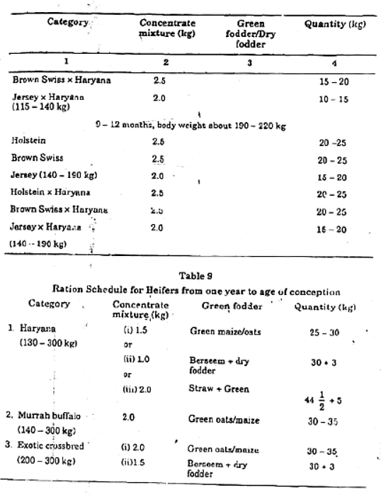 Feeding Regiments for Dry and Young Stock and Bulls | Animal Husbandry & Veterinary Science Optional for UPSC