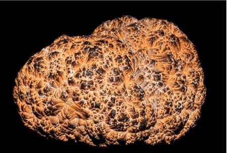 nodule polymétallique